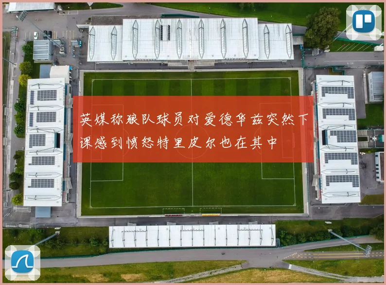 英媒称狼队球员对爱德华兹突然下课感到愤怒特里皮尔也在其中