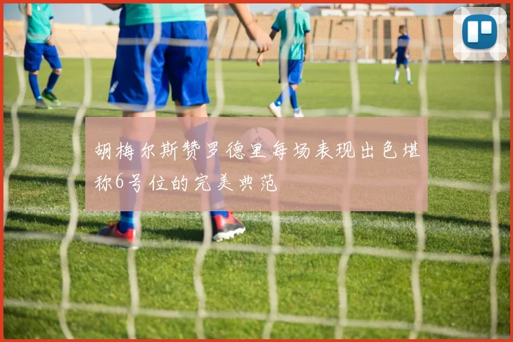 胡梅尔斯赞罗德里每场表现出色堪称6号位的完美典范